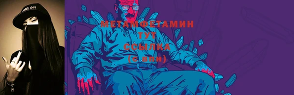 индика Абаза