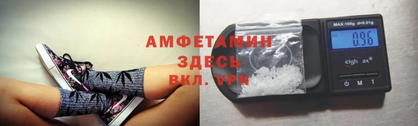 индика Абаза