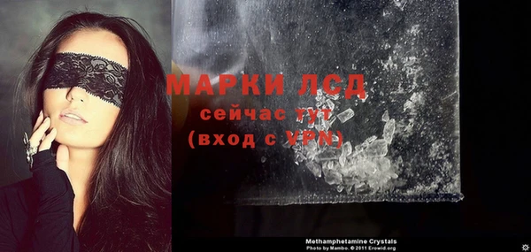 индика Абаза