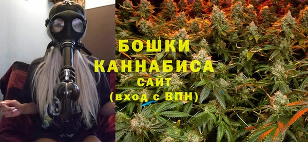 индика Абаза